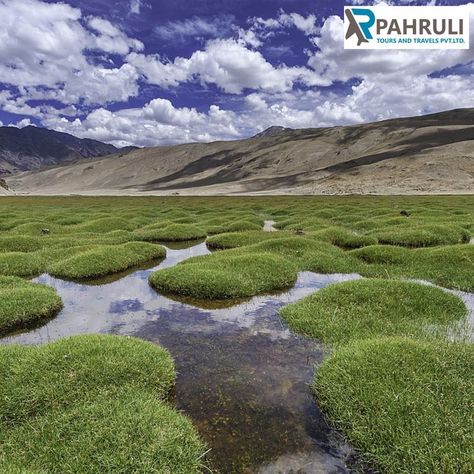 Puga Valley, Leh Ladakh, Unique Places, Jammu And Kashmir, Leh, Beautiful Places Nature, Incredible India, India Travel, Himalayan