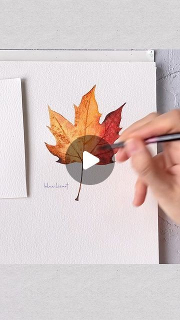 Lisa 藍 | Watercolorist on Instagram: "Learn how to paint a Sugar Maple Leaf in my Skillshare Class : Painting Autumn Leaves 🍁 Join the class via the Skillshare link in my bio" Watercolour Maple Leaf, Maple Leaf Watercolor Paintings, Autumn Leaves Painting Watercolors, Painting Autumn Leaves, Maple Leaf Painting, Watercolour Autumn Leaves, Autumn Leaf Watercolor, Maple Leaf Watercolor, Sugar Painting