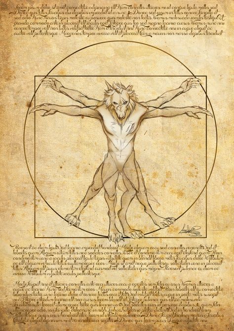 A Vitruvian Man?:- A Hjoldir Comm. By SpanglishA  by Hjoldir-Hildwulf Werewolf Tattoo, Werewolf Drawing, Werewolf Stories, Werewolf Aesthetic, Vitruvian Man, Werewolf Art, Mythical Creatures Art, Mythological Creatures, Mystical Creatures