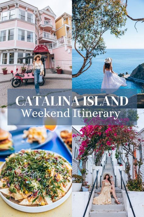 4 images that showcase a perfect weekend itinerary to Catalina island in California Ensenada Cruise, Catalina California, Catalina Island California, Santa Catalina Island, California Travel Guide, East Coast Road Trip, San Diego Travel, Weekend Itinerary, California Travel Road Trips