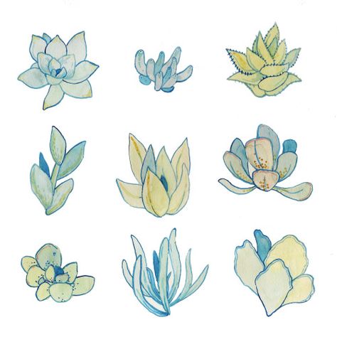 Maggie Chiang, Succulents Illustration, Succulents Drawing, Cactus Drawing, Tumblr Drawings, Trendy Plants, Succulent Art, Ivy Plants, Plant Aesthetic