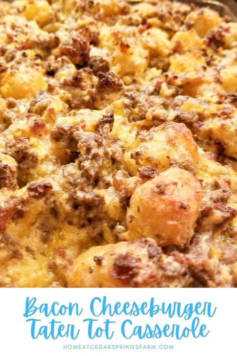 Bacon Cheeseburger Casserole Tater Tots, Bacon Cheeseburger Bake, Taco Tater Tot Casserole Recipes, Bacon Cheeseburger Tater Tot Casserole, Cheese Tater Tots, Bacon Casserole Recipes, Tot Recipes, Cheeseburger And Fries, Cheeseburger Tater Tot Casserole