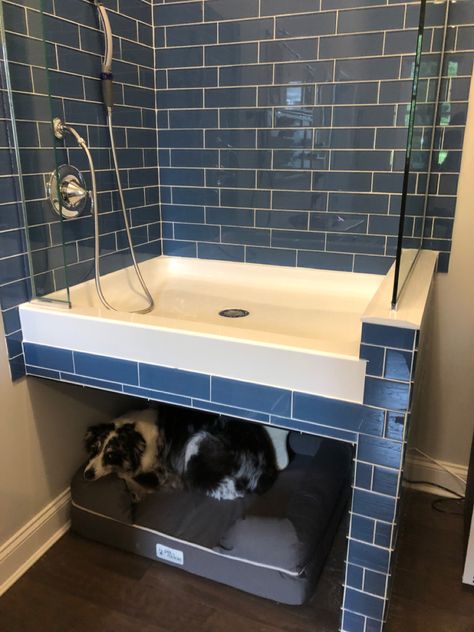 Dog shower with dog bed beneath Convert Shower To Dog Bath, Raised Dog Washing Station, Small Dog Washing Station, Laundry Room Ideas With Dog Bath, Dog Washroom, Laundry Room With Dog Washing Station, Dog Bath In Laundry Room, Dog Washing Station In Garage, Dog Shower Utility Room