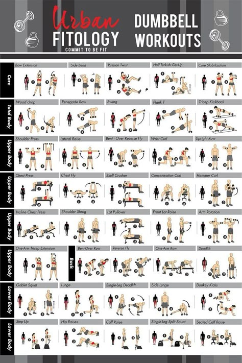 Dumbbell Workout Chart, Perfect Workout Routine, Darebee Workout, Dumbbell Workout Routine, Dumbbell Workout Plan, Dumbbell Exercise, Dumbbell Workout At Home, Workout Template, Full Body Dumbbell Workout