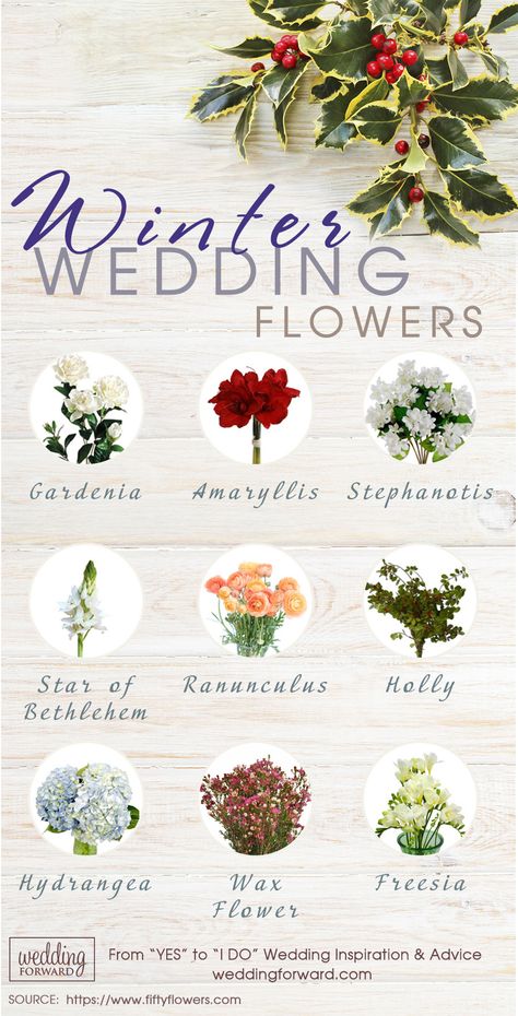 Stunning Winter Wedding Bouquets ❤ See more: http://www.weddingforward.com/winter-wedding-bouquets/ #weddings Freesia Flowers, Boda Diy, February Wedding, Winter Wedding Bouquet, Winter Wedding Flowers, Bouquets Wedding, December Wedding, Winter Wedding Inspiration, Winter Wonderland Wedding