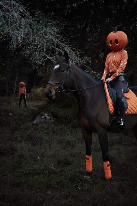 Equestrian Halloween, Horse Halloween Ideas, Cute Animals Drawings, Horse Draw, Draw Cute Animals, Horse Halloween Costumes, Halloween Horse, Helloween Wallpaper, Animal Halloween Costumes