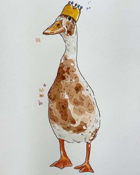 A runner duck with a crown 👑 What could this be a card for? I think I might leave it without any wording so it can be used for multiple occasions, but who knows? #goose #runnerduck #watercolour #illustration #thecritterco Runner Duck Illustration, Goose Illustration, Duck Watercolor, Duck Illustration, Runner Ducks, Duck Art, Watercolour Illustration, Who Knows, Card Ideas