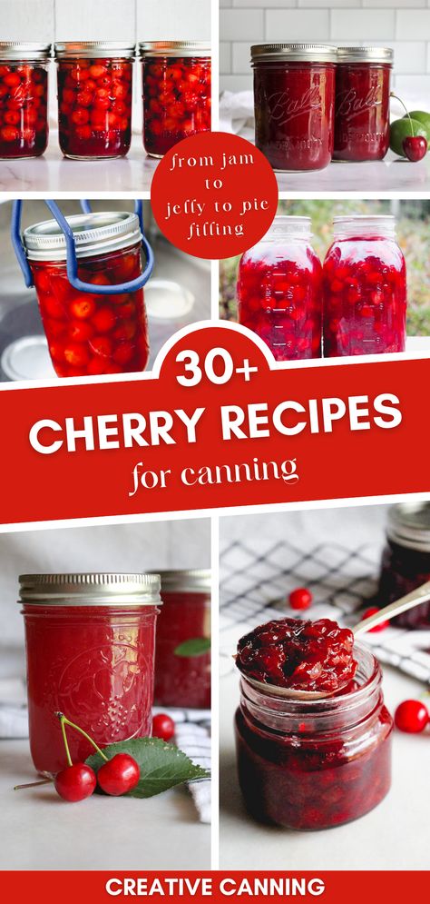 Discover the delight of sour, sweet, and tart cherries with our extensive collection of cherry canning recipes. These recipes will guide you through creating scrumptious jam, jelly, and pie fillings from the comfort of your home. Experience the pleasure of preserving cherries in their peak season! From Jam to jelly to pie filling! Cherry Canning Recipes, Cherry Recipes Canning, Preserving Cherries, Canning Fruit Recipes, Recipes For Canning, Sour Cherry Recipes, Jar Fruit, Cherry Pie Filling Recipes, Sour Cherry Jam