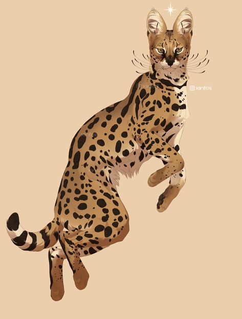 Serval Cats, Cat Reference, Big Cats Art, Savannah Cat, Like Animals, Animal Sketches, Creature Concept Art, Cat Wallpaper, Art Poses