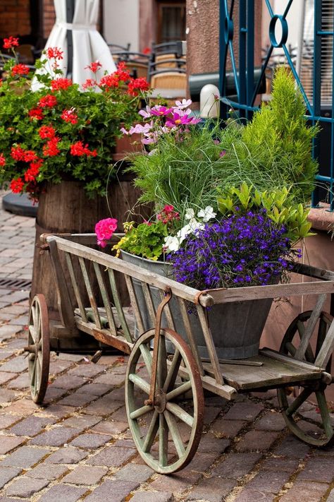 27 Eye-Opening Rustic Wagon Planter Ideas • Garden Outline Wagon Planter Ideas, Garden Outline, Goat Cart, Wagon Planter, Wooden Wagon Wheels, Zinc Planters, Wood Wagon, Garden Wagon, Wagon Wheels