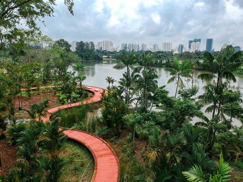 Lakeside Garden, Mangrove Swamp, Water Playground, Lake Garden, Better Homes And Garden, Wildlife Habitat, Gardens By The Bay, Nature Trail, Garden Bridge