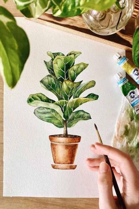 Learn how to paint the popular fiddle leaf fig houseplant with these cool watercolor plant painting reference. This plant has gorgeous large leaves that make it a real showstopper. Watercolor Plants Painting, Fiddle Leaf Fig Painting, Ficus Drawing, Fiddle Leaf Fig Drawing, Plant Reference Drawing, Watercolor Plants Tutorial, Watercolor Plant Paintings, How To Paint Plants, Watercolor Art Plants