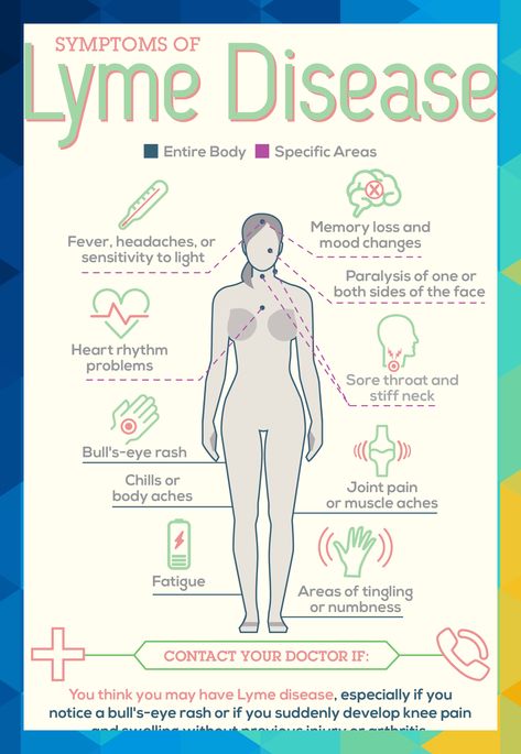 If Lyme disease is not detected and treated in its early stages, it can extend to more areas of the body, affecting the joints, heart, and nervous system (after several weeks to months after the initial tick bite). #keanu61667 Tick Bite, Adolescent Health, Disease Symptoms, Mood Changes, Medical Studies, Medical Coding, Body Ache, Medical Knowledge, Muscle Aches