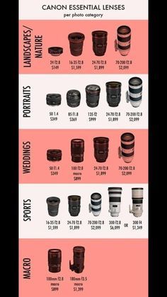 Different Lenses Photography, Photography Ideas Beginners, Canon Essential Lenses, Photography Lens Guide, Canon 75-300mm Lens Photos, Camera Lens Canon, Canon 1500d Photography Tips, Camera Essentials Photographers, Dslr Camera For Beginners Photography Basics