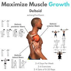 Shoulder Workouts For Men, Deltoid Workout, Shoulder Training, Muscle Building Workouts, Weight Training Workouts, Gym Workout Tips, Muscle Growth, Shoulder Workout, Bench Press