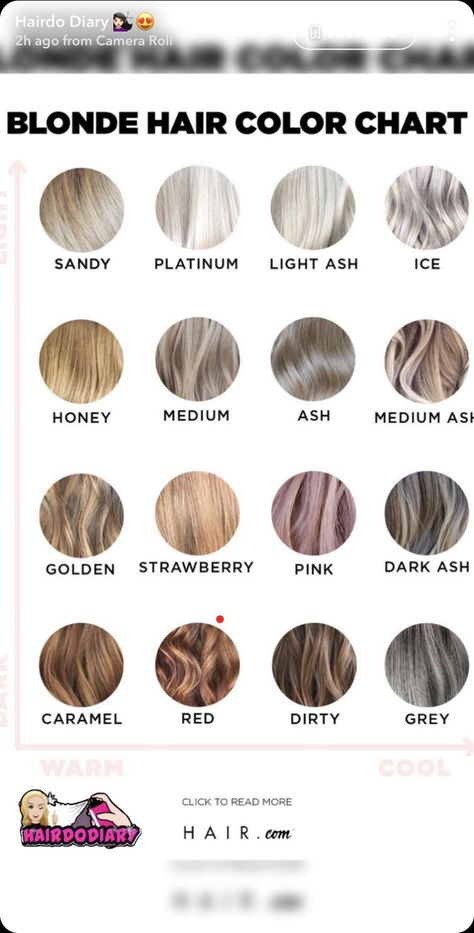 Hair Ombre Brown, Blonde Hair Color Chart, Rose Blonde, Dread Extensions, Hair Color Chart, Fall Hair Cuts, Ombre Brown, Hairstyles Videos, Fall Hair Trends