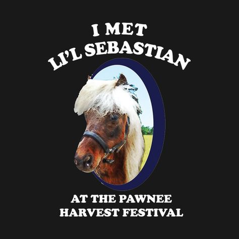 Lil Sebastian, Laugh Track, Aubrey Plaza, Parks N Rec, Harvest Festival, Parks And Recreation, Soul Food, Gossip Girl, Office Decor