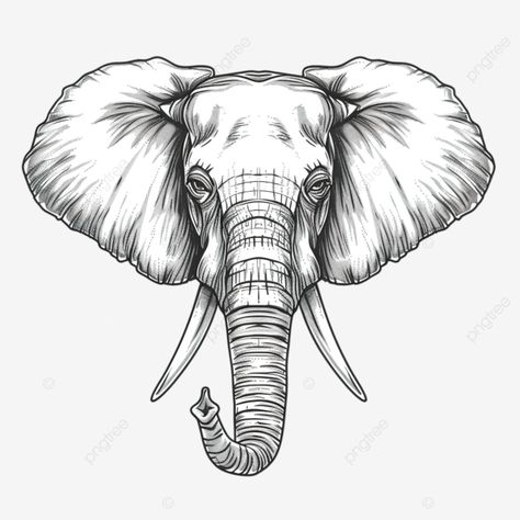 elephant head line art abstract africa african png Elephant Goddess, Elephant Face Drawing, Elephant Head Drawing, Female Flash, Elephant Line Art, Hammer Drawing, Head Line Art, Elephant Png, Elephant Coloring