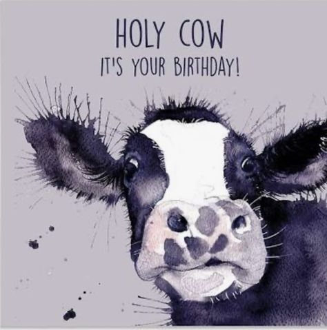 Happy Birthday Cow, Cow Card, Birthday Wishes Greeting Cards, Birthday Wishes Greetings, Watercolor Birthday Cards, Cow Birthday, Birthday Wishes For Friend, Watercolor Birthday, Birthday Quotes Funny