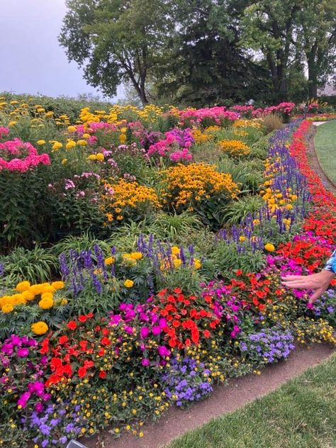 Wildflower Lawns, Big Flower Garden Aesthetic, Wildflower Lawn Small Garden, Wildflower Yard Lawn, Clover And Wildflower Lawn, Apartment Balcony Decorating, Garden Of Eden, Home Landscaping, Rustic Cabin