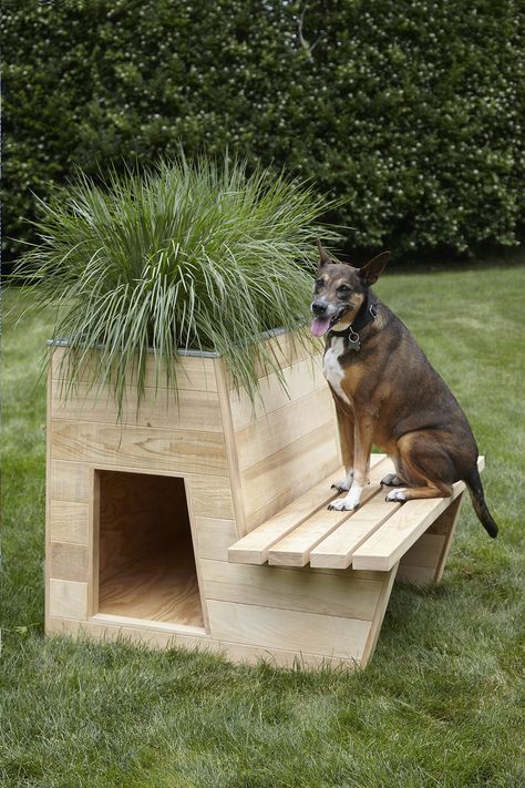 10 Architects Create Stylish Dog Houses—for a Good Cause Photos | Architectural Digest Luxury Dog House, Pallet Dog House, Dog House Plans, Outdoor Dog House, Cool Dog Houses, Dog Yard, Most Beautiful Dogs, Dog House Diy, Luxury Dog