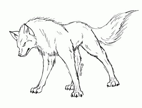 Realistic Drawings Of Wolves Growling Images & Pictures - Becuo Growling Wolf Drawing Reference, Wolf Growling, Wolf Outline, Wolf Base, Angry Wolf, Big Wolf, Wolf Sketch, Wolf Colors, Arctic Wolf