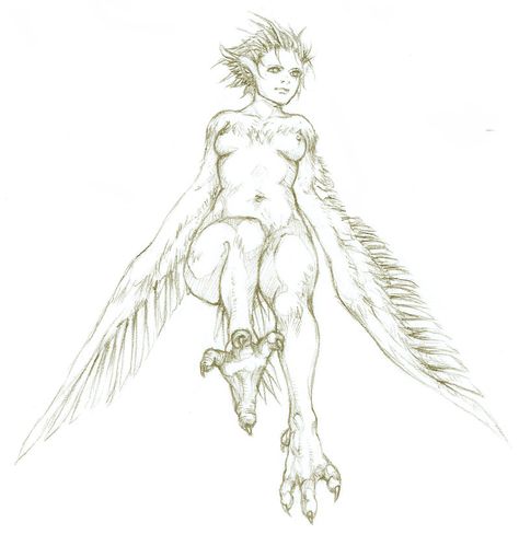 Harpy Greek Mythology, Harpy Tattoo Greek Mythology, Harpies Mythology, Harpy Mythology, Harpy Tattoo, Harpy Character Design, Harpy Art, Harpy Oc, Harpy Eagle