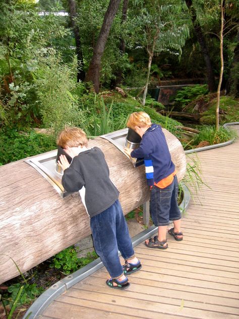 Forest Gallery | TCL Enclosed Courtyard, Water Pavilion, Interpretive Signage, Zoo Project, Nature Museum, Mountain Ash, Outdoor Education, Park Playground, Children's Garden