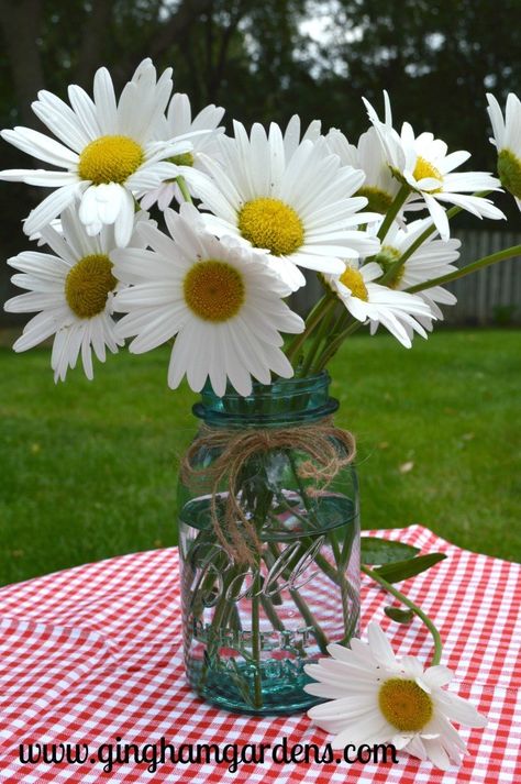 Daisy Flower Arrangements, Garden Vignettes, Coastal Flowers, Flower Reference, Flowers Last Longer, Farmhouse Decorations, Shasta Daisies, Mobile Wedding, Lilly Flower