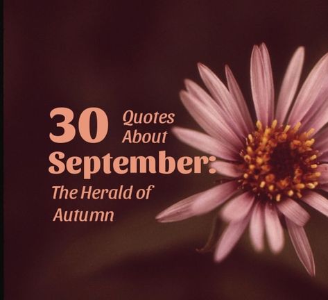 30 Quotes About September: The Herald of Autumn. Cooler air and colorful leaves encourage us to welcome September, the herald of autumn. Within these 30 quotes (one for each day of the month) are many reminders of the reasons that we maintain our zest for life as summer becomes autumn. Quotes About September, Hello September Quotes, September Quotes, Free Verse Poems, Best Love Poems, 30 Quotes, Monthly Quotes, Poetic Quote, Best Poems