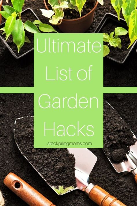 Farming Hacks, Outdoor Compost Bin, Making Raised Garden Beds, Caring For Plants, Easy Gardening Hacks, Easy Gardening, Victory Garden, Master List, Gardening Hacks