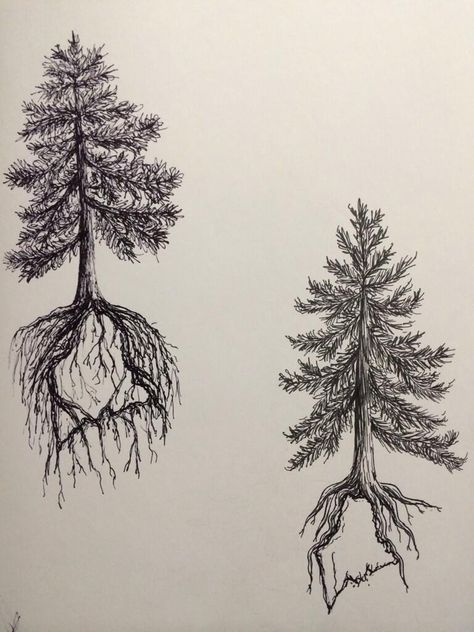 Pine Tree State tattoo design two by ramble-inthe-roots 19-28 feb Maine Tattoo, Maple Tree Tattoos, Tree Roots Tattoo, Tree Tattoo Men, Roots Tattoo, State Tattoos, Pine Tree Tattoo, Tree Tattoo Designs, Tree Of Life Tattoo