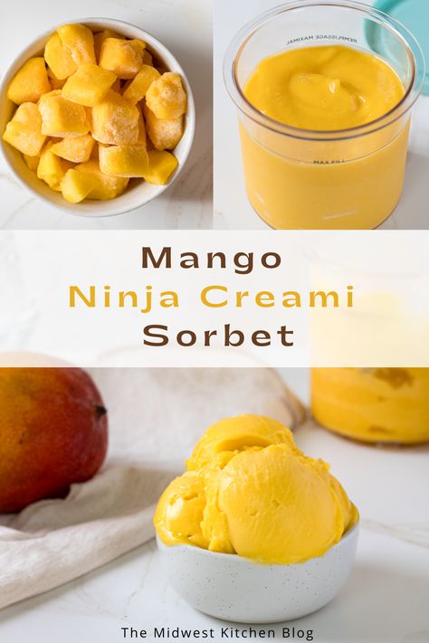 Pineapple Sorbet Ninja Creami, Ninja Creami Sorbet Recipes Healthy, Ninja Creami Healthy Sorbet, Berry Sorbet Ninja Creami, Ninja Creami Mango, Mango Sorbet Ninja Creami, Mango Ninja Creami Recipe, Creami Ninja Recipe Sorbet, Ninja Creami Banana Sorbet