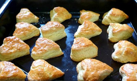 Oil Scones Recipe, Making Scones, Best Scones, Lemon Muffin Recipes, Best Scone Recipe, Lemon Cupcake Recipe, Baking Scones, How To Make Scones, Queens Food