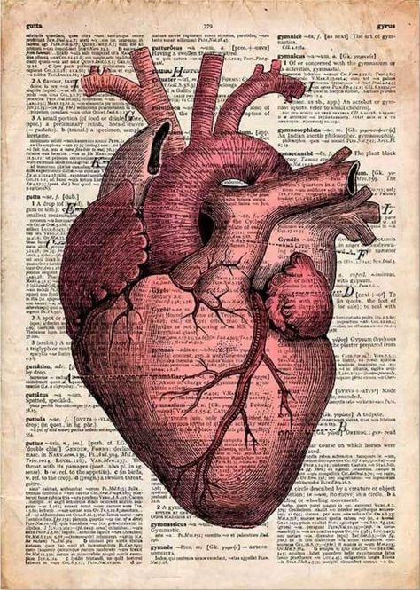 Quirky Interior, Vintage Medical Art, Anatomical Heart Drawing, Anatomy Wall Art, Medical Artwork, Medical Drawings, Medical Posters, Medical Wallpaper, Human Anatomy Drawing