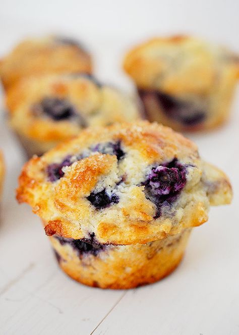 Smitten Kitchen Perfect Blueberry Muffins, Perfect Blueberry Muffins Smitten Kitchen, Ina Garden Blueberry Muffins, One Bowl Muffins, Smitten Kitchen Blueberry Muffins, Yogurt Blueberry Muffins, Perfect Blueberry Muffins, Smitten Kitchen Recipes, Mini Blueberry Muffins