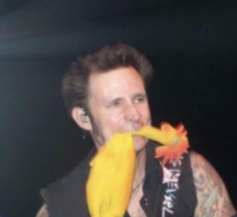 mike eats chicken Green Day Pfp, Mike Dirnt And Billie Joe, Billie Joe Armstrong And Mike Dirnt, Chicken Memes, Mike Dirnt, Funny Chicken Memes, Billie Green Day, Green Day Billie Joe, Tré Cool