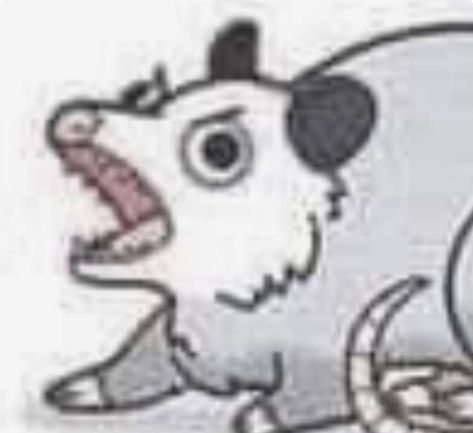 Possum Pfp Drawing, Possum Pfp, Chaotic Pfp, Pfp Drawing, Grunge Art, Funny Doodles, New Sticker, Cute Images, Reaction Pictures