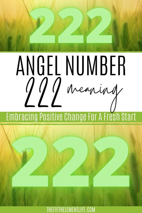 angel number 222 meaning Meaning Of 222 Angel Numbers, Meaning Of 222, Number 222 Meaning, 222 Meaning, Nurturing Relationships, Angel Number 222, Angel Signs, Manifesting Dreams, Be Good To Me