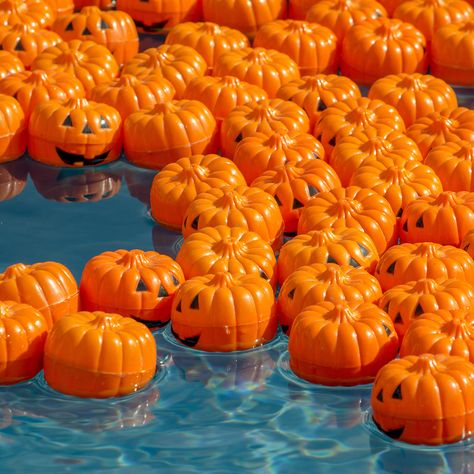 Fall Pool Decorations, Fall Pool Party Ideas, Spooky Pool Party, Halloween In Summer Party, Halloween Pool Party Ideas, Goth Pool Party, Summerween Pool Party, Halloween Summer Party, Halloween Pool Decorations