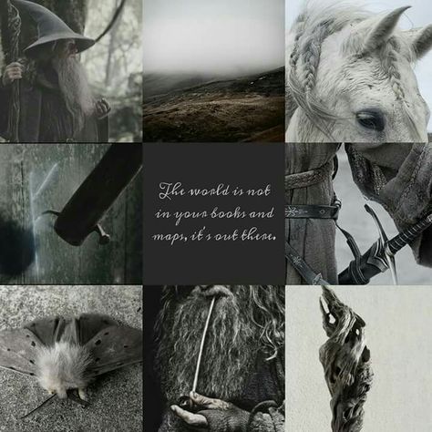 Gandalf aesthetic by GiuliaSkywalker98  From "The Hobbit" The Hobbit Pictures, Gandalf Aesthetic, Gandalf Quotes, Quotes Collage, Wizard Gandalf, Hobbit Pictures, Earth Aesthetic, Samwise Gamgee, Quote Collage