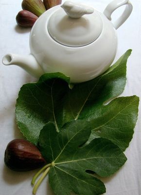 My mother-in-law introduced me to fig leaf tea while visiting her in Ecuador. It is simple to make and quite tasty. I had no idea of the medicinal benefits. Awesome!!! Fig Tea, Fig Leaf Tea, Fig Leaf Tree, Health Benefits Of Figs, Ficus Carica, Healing Tea, Fig Leaf, Fig Recipes, Fig Leaves