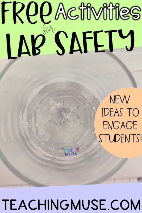 This image contains: A lab safety activity of a petri dish Science Safety Activities, Lab Safety Activities, Middle School Science Lab, Science Lab Safety, Lab Safety Rules, Safety Activities, Science Safety, Middle School Science Activities, Life Science Activities