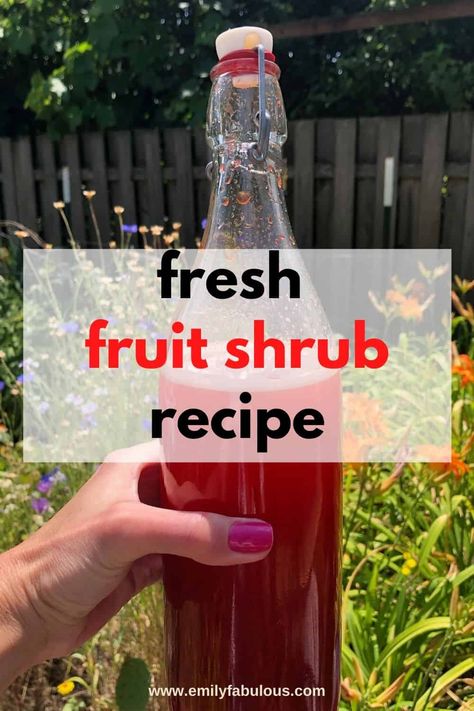 Cherry Shrub Recipe, Shrub Drink, Fruit Shrub, Shrub Recipe, Healthy Alcoholic Drinks, Vinegar Drinks, Craft Cocktail Recipe, Drinking Vinegar, Fermentation Recipes