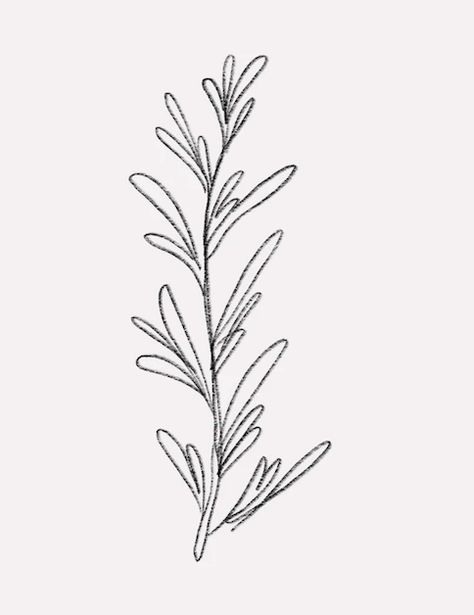 Rosemary Drawing, Happy Heart, Leaf Tattoos, Maple Leaf Tattoo, Maple Leaf, Rosemary, Tattoos, Drawings