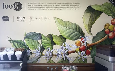 Coffee Plant on Behance Plant Mural Wall, Vintage Cafe Design, Plant Mural, Mural Cafe, Coffee Process, Botanical Drawing, Coffee Tree, Month Of April, Coffee Illustration