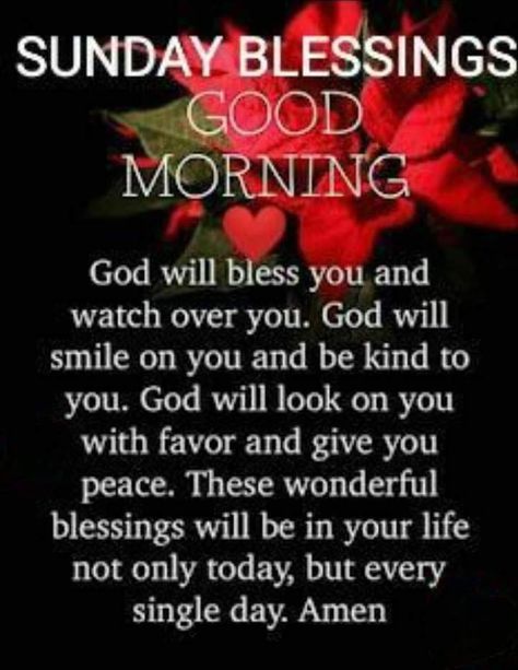 Good Sunday Morning Blessings Quotes, Good Sunday Morning Blessings, Sunday Morning Blessings, Ignore Negativity, Sunday Morning Prayer, Blessed Sunday Quotes, Blessed Sunday Morning, Weekly Blessings, Blessed Morning Quotes