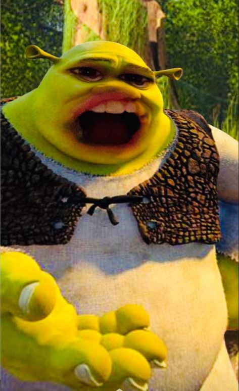 Shrexy Shrek, Shrek Funny, Scream Meme, Shrek Memes, Wedding Dress Costume, Funny Characters, Weird Images, Funny Character, Weird Food