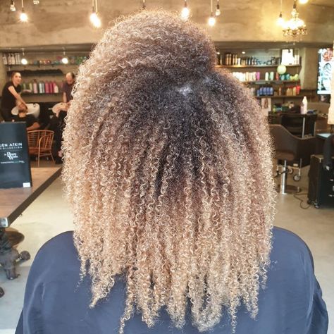 Afro Hair Balayage✨ . . . #hairsalon #beautysalon #afrohair #afrohairbalayage #curlyhairbalayage #balayage #balayageombre #balayagecurls #balayageafro #naturalblonde #warmhairtones #blend #hairblend #texture #curlyhair #curldefinition #longnluxe @asiamuk #styling #products @olaplex #leaveinconditioner #beforeandafter #lovewhatyoudo #curlygirlmethod Big Hairstyles, Ombré Blonde, Ombré Balayage, Hairstyles Balayage, Highlights Curly, 3c Hair, Highlights Curly Hair, Blonde Curls, Blonde Hair Inspiration