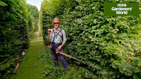 How to cut a hedge Trimming Hedges, Monty Don, Growing Plants, Hedges, Outdoor Power Equipment, Bbc, Trim, Magazine